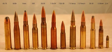 rifle cartridges sized