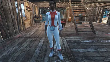 Vault Suit