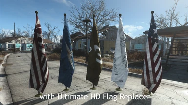 with Ultimate HD Flag replacer