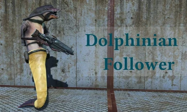 DolphinianFollower