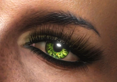 HN66s and XAZOMNs Long EyeLashes for FO4
