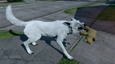 Ghost- White Dogmeat at Fallout 4 Nexus - Mods and community