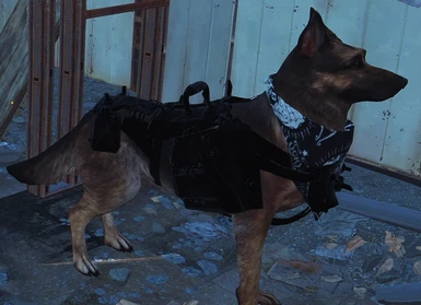 fallout 4 dogmeat armor