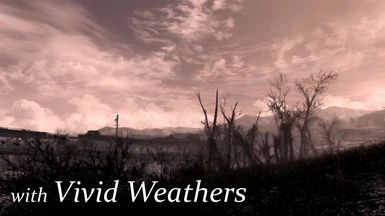 with Vivid Weathers