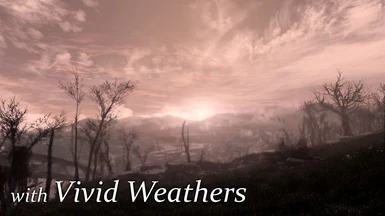 with Vivid Weathers
