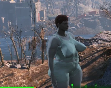 Fallout 4 Ssbbw Mod