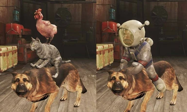 Dollondog At Fallout 4 Nexus Mods And Community
