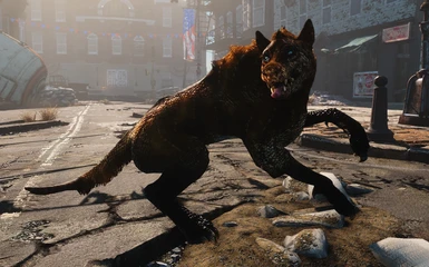 Dogmeat replacer is perfect