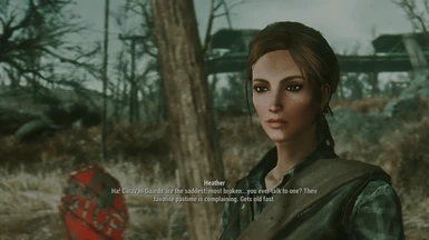 Fallout 4 Custom Follower Mod