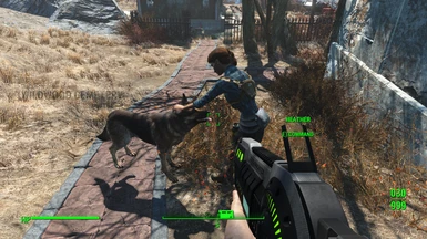 Cute interaction between Heather and Dogmeat.