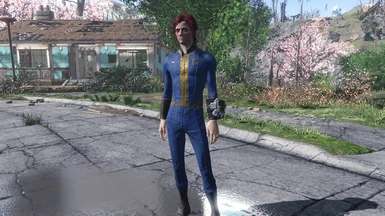 Swapped Gender Animations for Player at Fallout 4 Nexus - Mods and