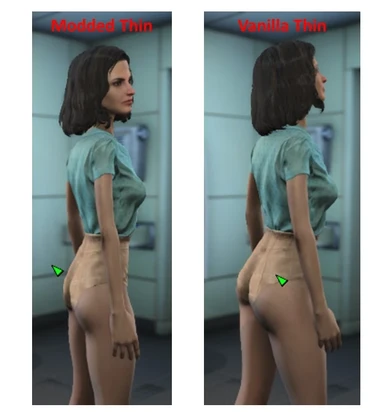 Body Triangle Enhancer at Fallout 4 Nexus - Mods and community