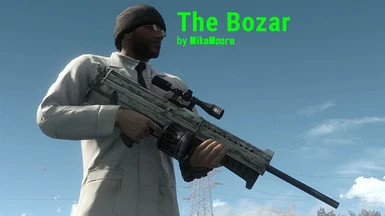 The Bozar