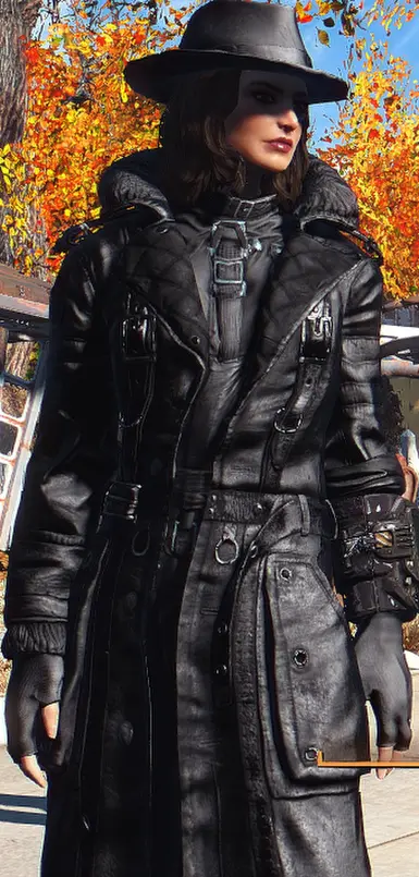 Fallout4Launcher 2015 11 23 18 16 19 41