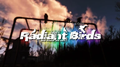 Radiant Birds