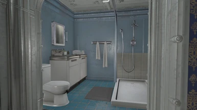 NPC Bathroom