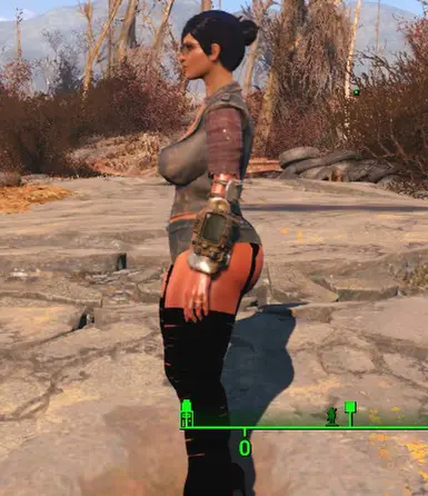 bodyslide presets fallout 4