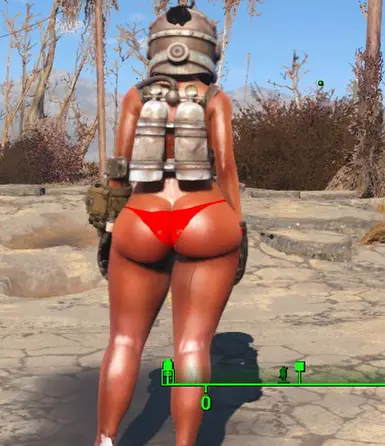 fallout 4 body slider presets