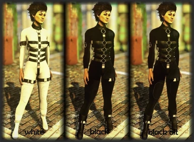 Nova Catsuit I for FO4 - CBBE - Bodyslide at Fallout 4 Nexus - Mods and ...
