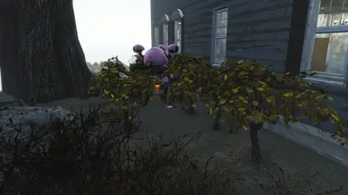 ScreenShot100