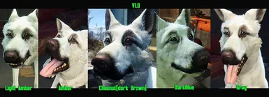 EyeTextures