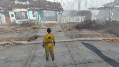 Fallout 4 Bruce Lee
