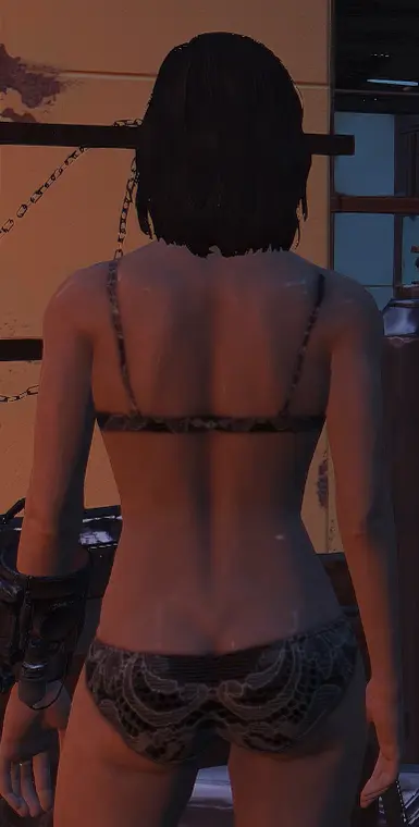 Black Bra and Underwear with White Lace at Fallout 4 Nexus Mods