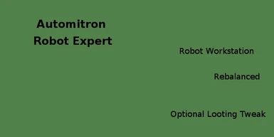 Automitron Robot Expert