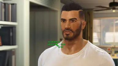 In game dialog shot