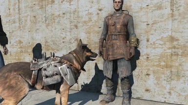 Dog Armor and BoS Engineer