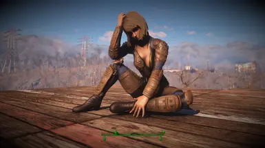 The Lovely Presets Revitalized at Fallout 4 Nexus - Mods and community