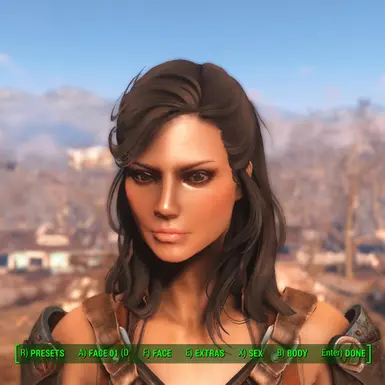 The Lovely Presets Revitalized at Fallout 4 Nexus - Mods and community