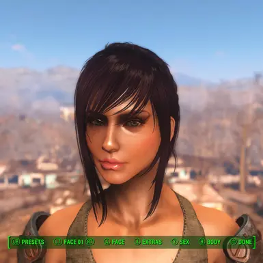 The Lovely Presets Revitalized at Fallout 4 Nexus - Mods and community