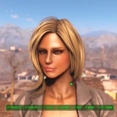 aPocalyptic Presets for LooksMenu at Fallout 4 Nexus - Mods and community