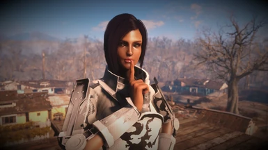The Lovely Presets Revitalized at Fallout 4 Nexus - Mods and community
