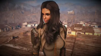 The Lovely Presets Revitalized at Fallout 4 Nexus - Mods and community