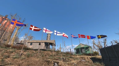 Pole Mounted Flags in New Condition