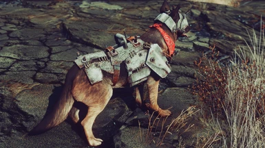 fallout 4 dog armor dmg resist