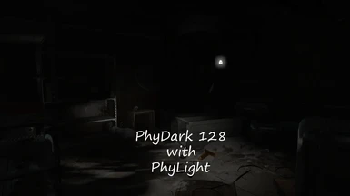 PhyDark with PhyLight