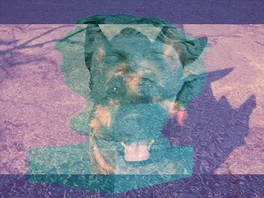 v a p o r j e t