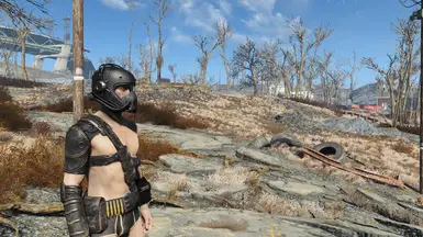 Real Leather HD - Armor and Clothing at Fallout 4 Nexus - Mods and