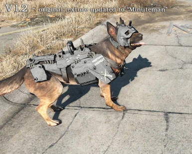 how to equip dogmeat
