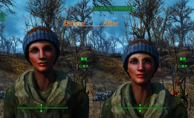1st Person Camera Height Fix At Fallout 4 Nexus Mods And Community