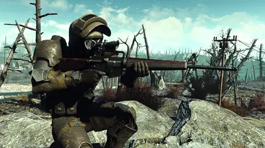 assault rifle replacer fallout 4