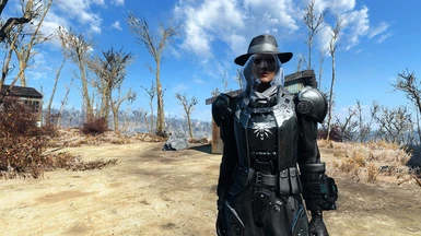 Fallout4 Witcher combatarmor