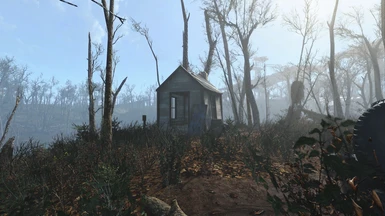 Thoreau's Cabin in the Fog - Before