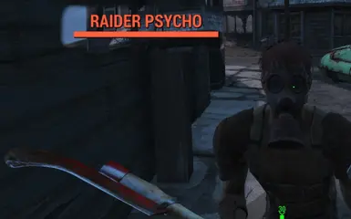 Raider Psycho