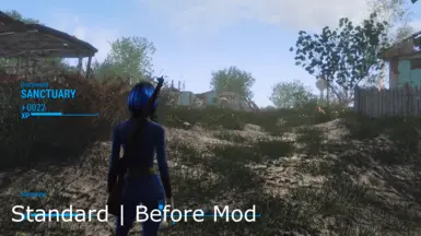 Standard Exp amount