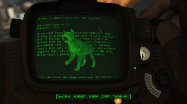 Fallout 4 Screenshot 2017 10 30   16 32 21 49