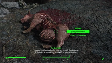 Fallout 4 Screenshot 2017 10 30   16 52 08 37